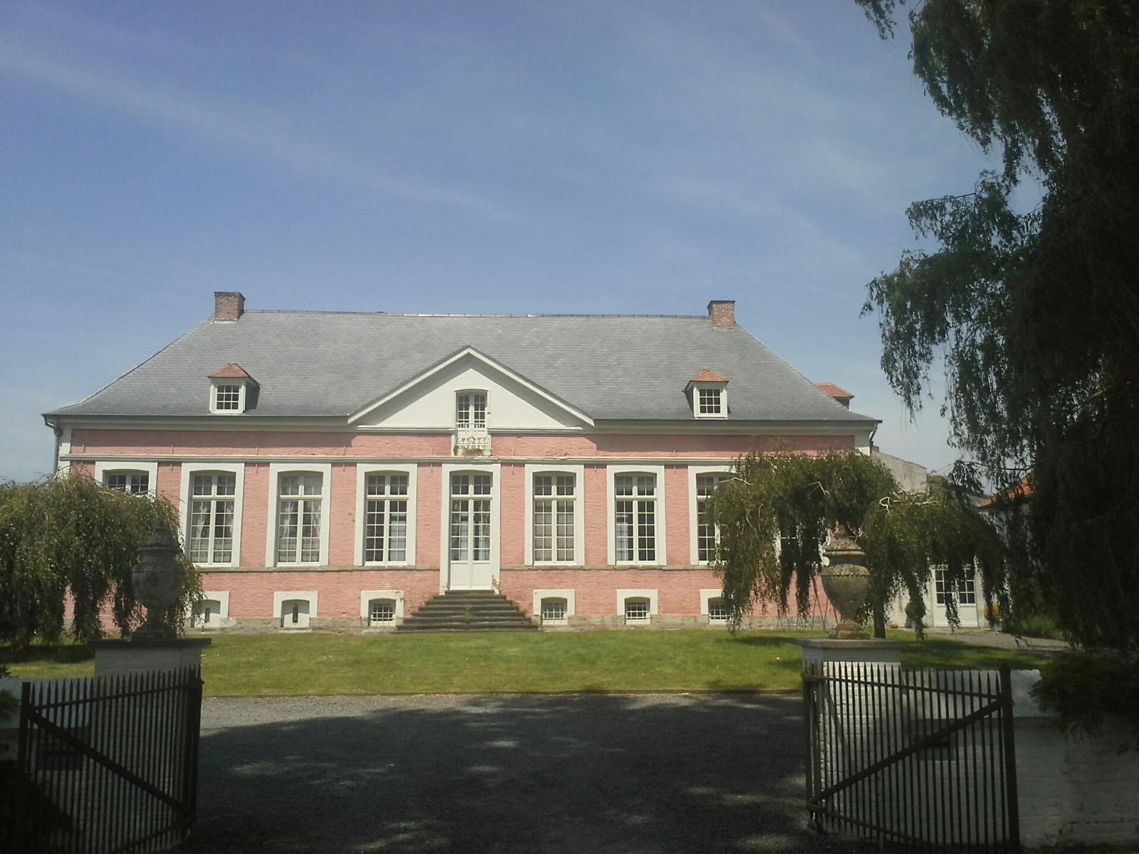 D&D Dakwerken dak natuurleien