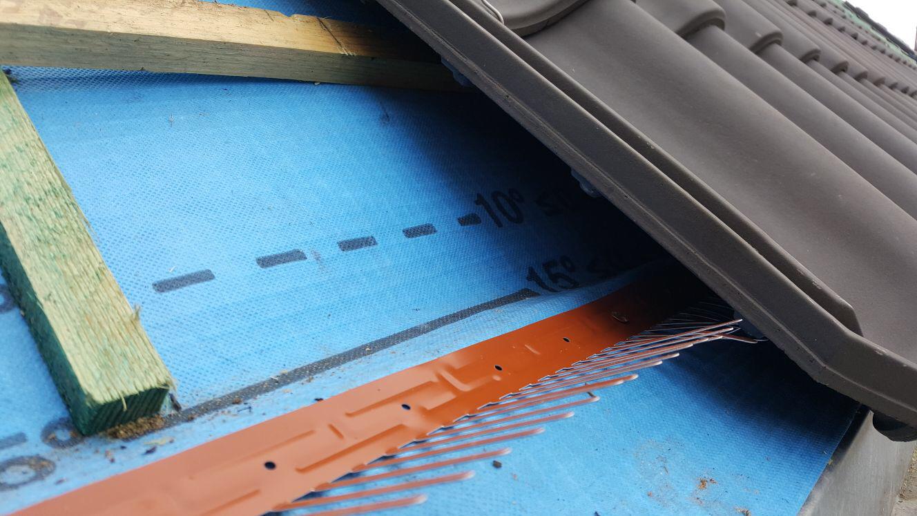 dddakwerken - nieuwbouw - OVH blauw gesmoord - Tielt