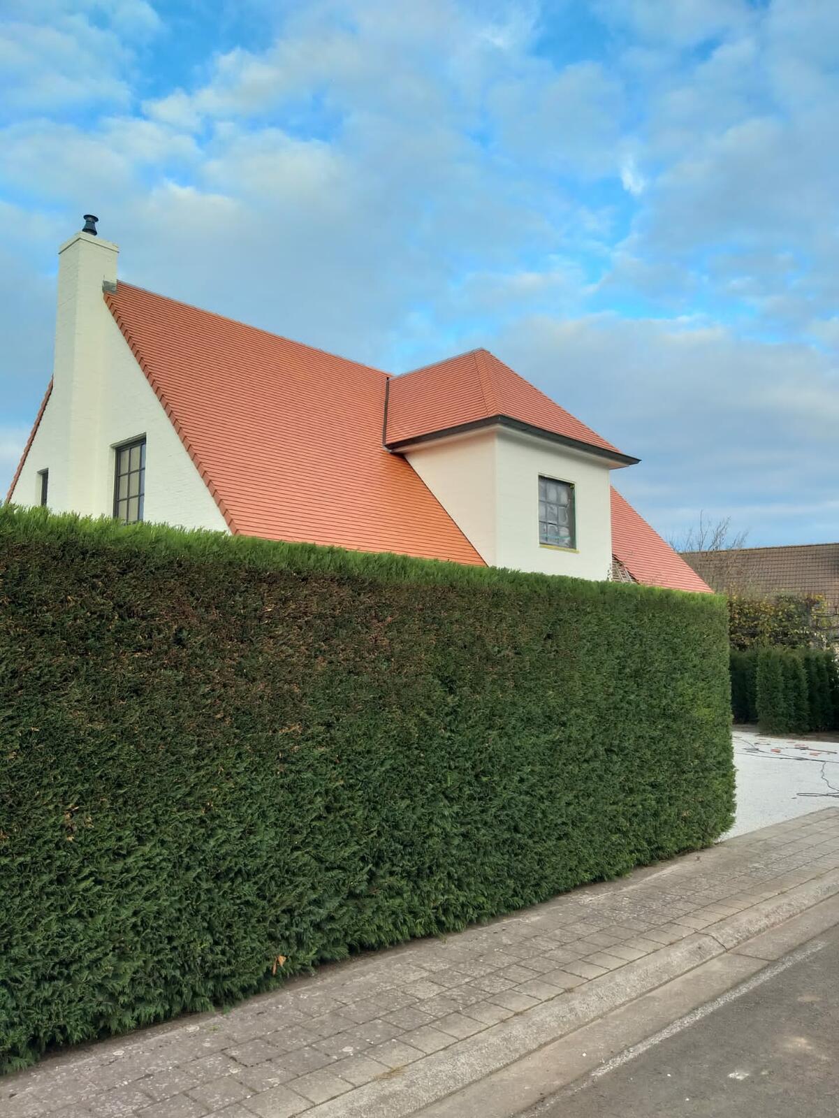 Renovatie met Tegelpan 301, Natuurrood
