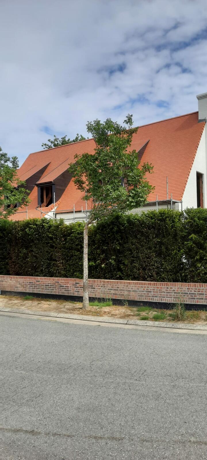 dddakwerken - renovatie - tegelpan 301 natuurrood