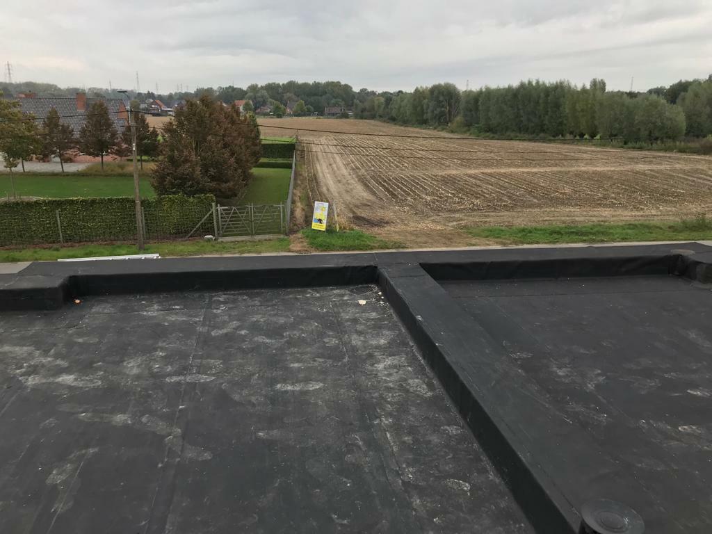 dddakwerken - plat dak - Anzegem