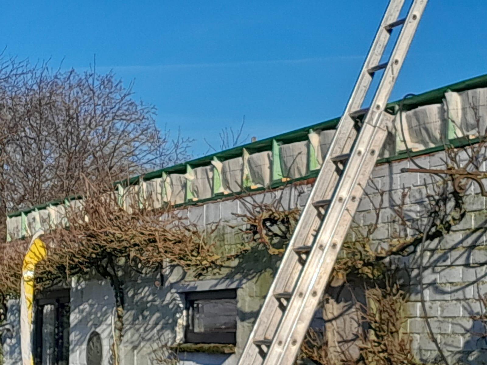 d-ddakwerken Tielt - recuppan - Thermo Ayous - isolatie - u-therm - EPDM - eik