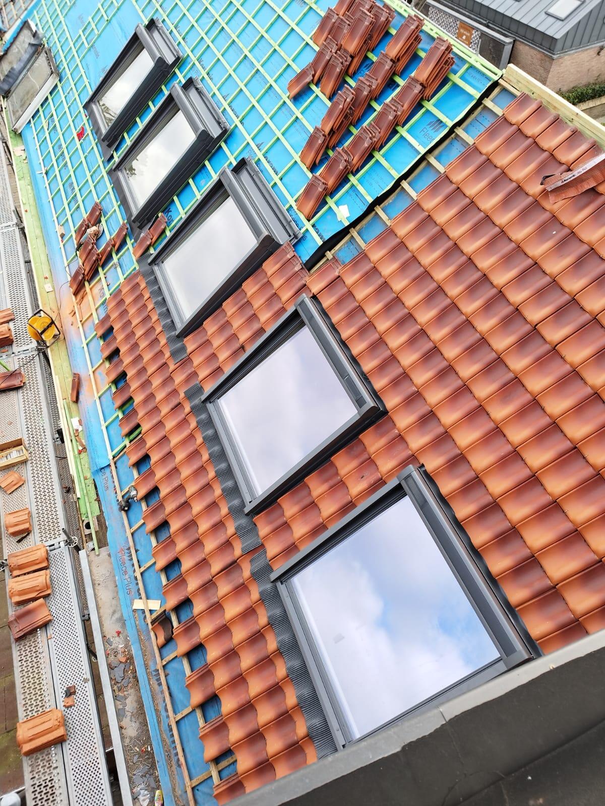 d-ddakwerken Tielt - timmerwerken - douglas - sarking - Brugge