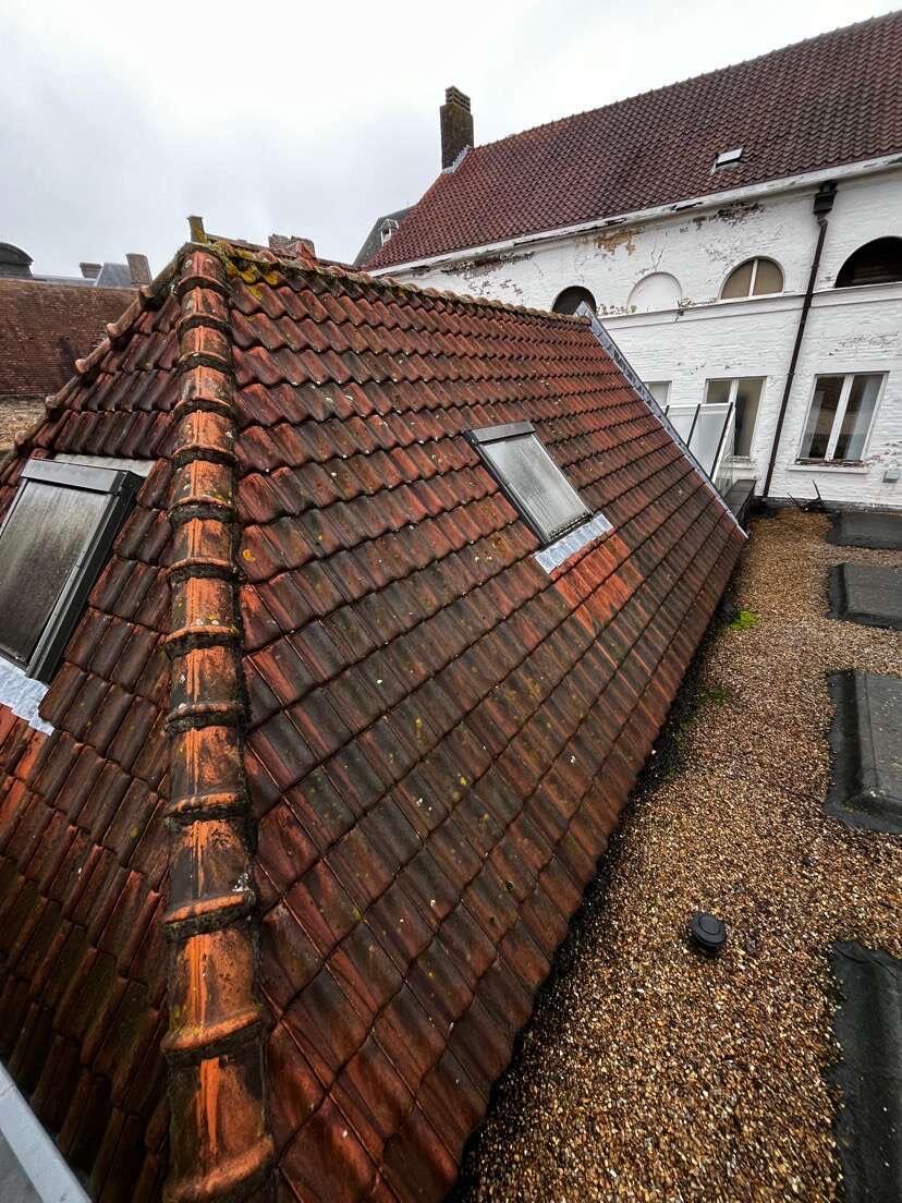 d-ddakwerken Tielt - Koramic Oude Pottelbergse pan 451 - Sarking - EPDM - plat dak